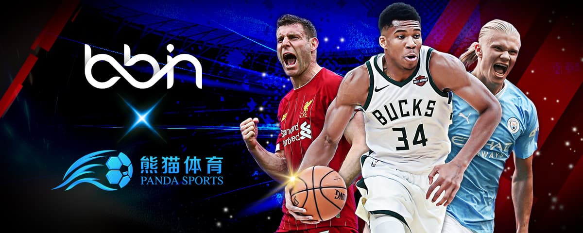 备与恢复手